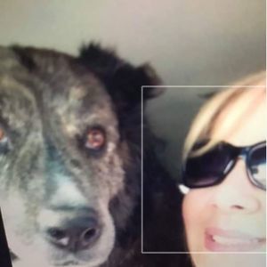 Meet your Posher, Janice